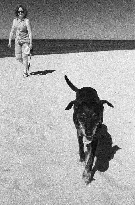 Lexie and me on Dog Beach in Muskegon, Mich. Photo by Bryan Bogater.