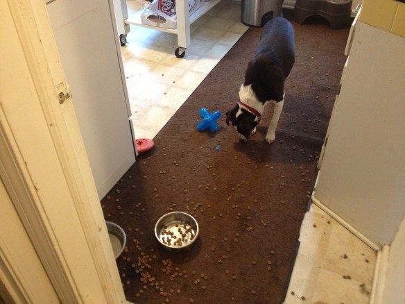 Charlie cleans up the evidence after Lexie stormed through the kitchen. It was a tasty job.